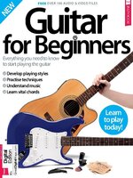 Guitar For Beginners